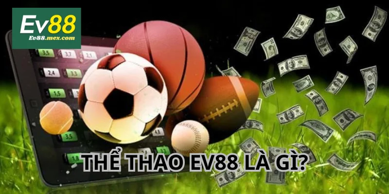 Thể Thao EV88 - Sảnh Cược Cá Độ Đặc Sắc Số 1 Thị Trường Thể Thao EV88 là sảnh cược được nhà cái đầu tư mạnh mẽ.